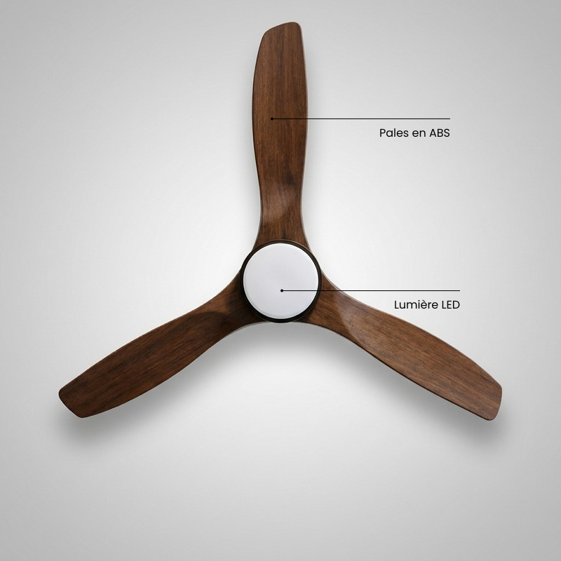 Eolia Alizé — Ventilateur de plafond en bois, silencieux