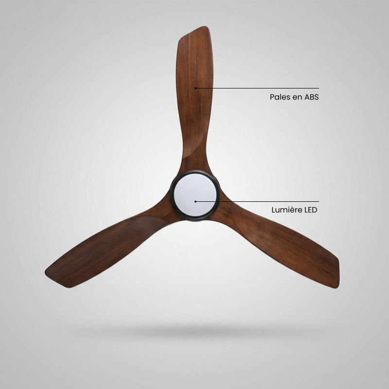 Eolia Borée — Ventilateur de plafond en bois, silencieux
