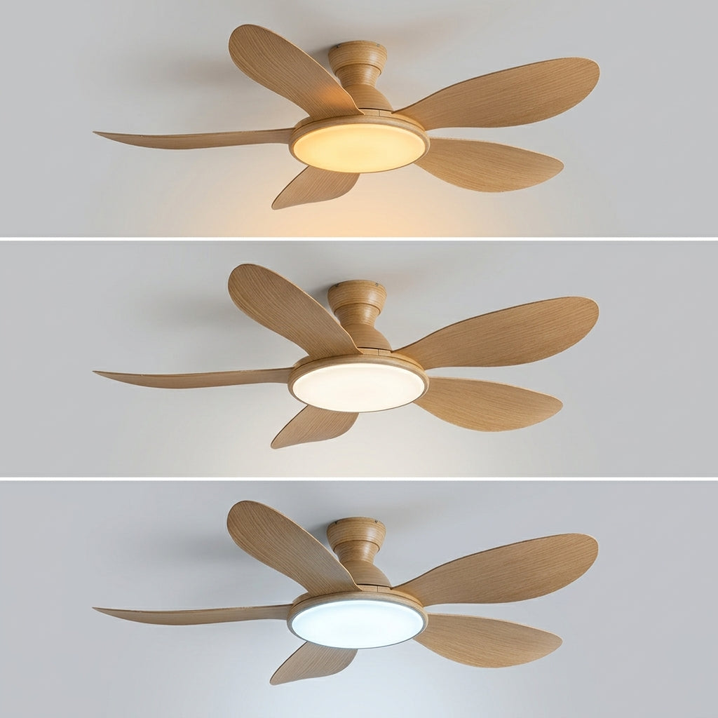 Eolia Formentera— Ventilateur de plafond en bois, silencieux